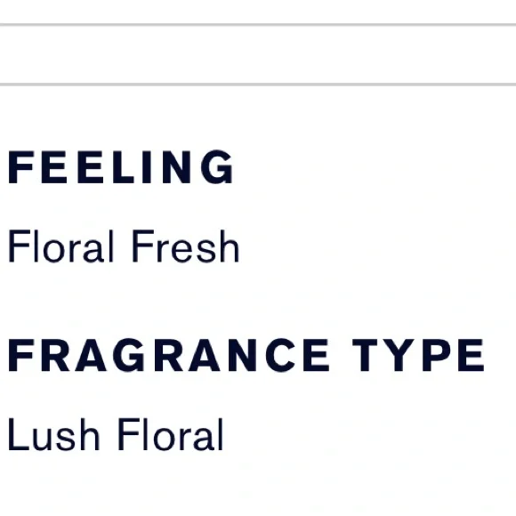 Estee Lauder White Linen Eau de Parfum Spray - Picture 4 of 13